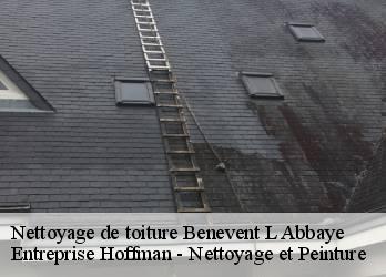 Nettoyage de toiture  23210