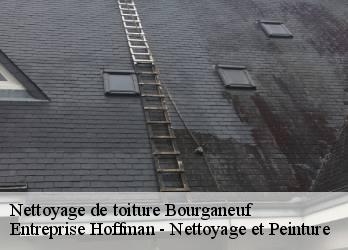 Nettoyage de toiture  23400