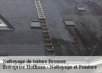 Nettoyage de toiture  23700