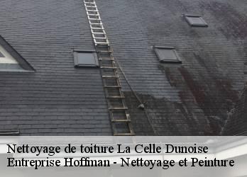 Nettoyage de toiture  23800