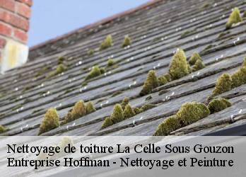 Nettoyage de toiture  23230