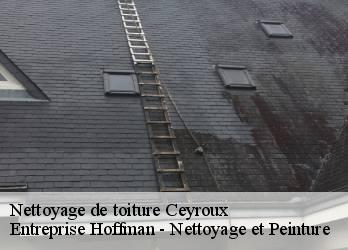 Nettoyage de toiture  23210