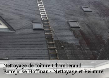 Nettoyage de toiture  23480