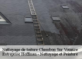 Nettoyage de toiture  23170