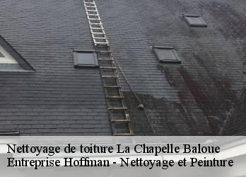 Nettoyage de toiture  23160