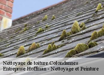 Nettoyage de toiture  23800