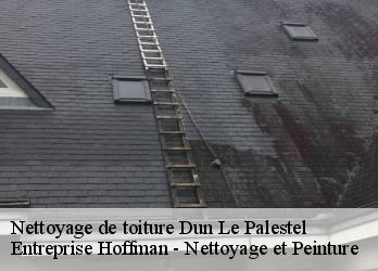 Nettoyage de toiture  23800