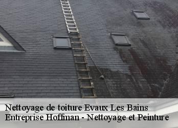 Nettoyage de toiture  23110