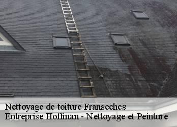 Nettoyage de toiture  23480