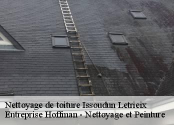 Nettoyage de toiture  23130