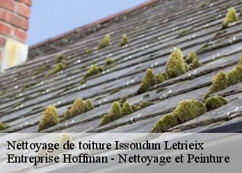 Nettoyage de toiture  23130