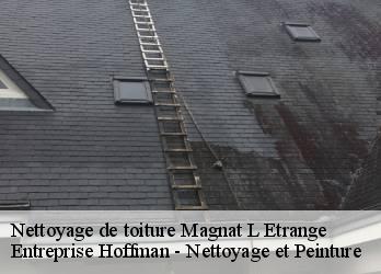 Nettoyage de toiture  23260