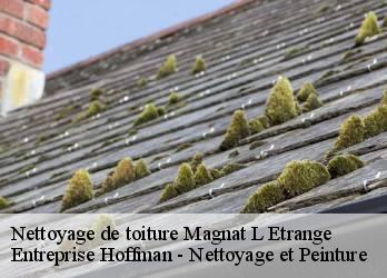 Nettoyage de toiture  23260