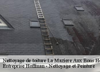 Nettoyage de toiture  23260