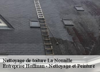 Nettoyage de toiture  23500