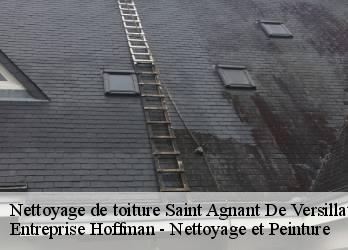 Nettoyage de toiture  23300