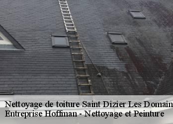 Nettoyage de toiture  23270