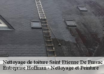 Nettoyage de toiture  23290