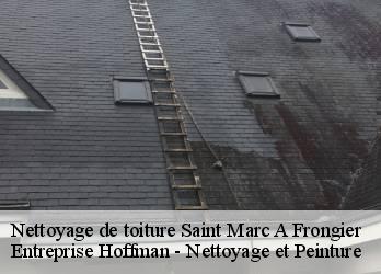 Nettoyage de toiture  23200