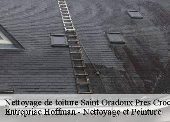 Nettoyage de toiture  23260